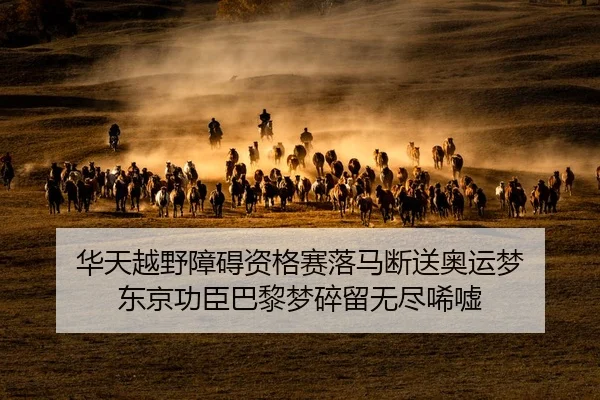 华天越野障碍资格赛落马断送奥运梦 东京功臣巴黎梦碎留无尽唏嘘